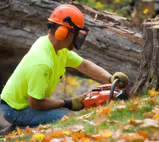 tree services Caswell Beach